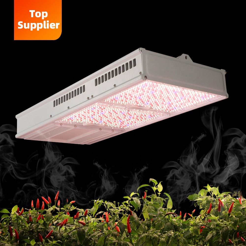 Grow Light Led - 비용 효율적인 600W 800W 탑라이트 풀