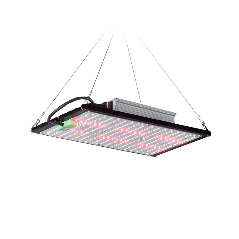 Grow Light Led - LED 퀀텀보드 식물 재배 조명, 실내