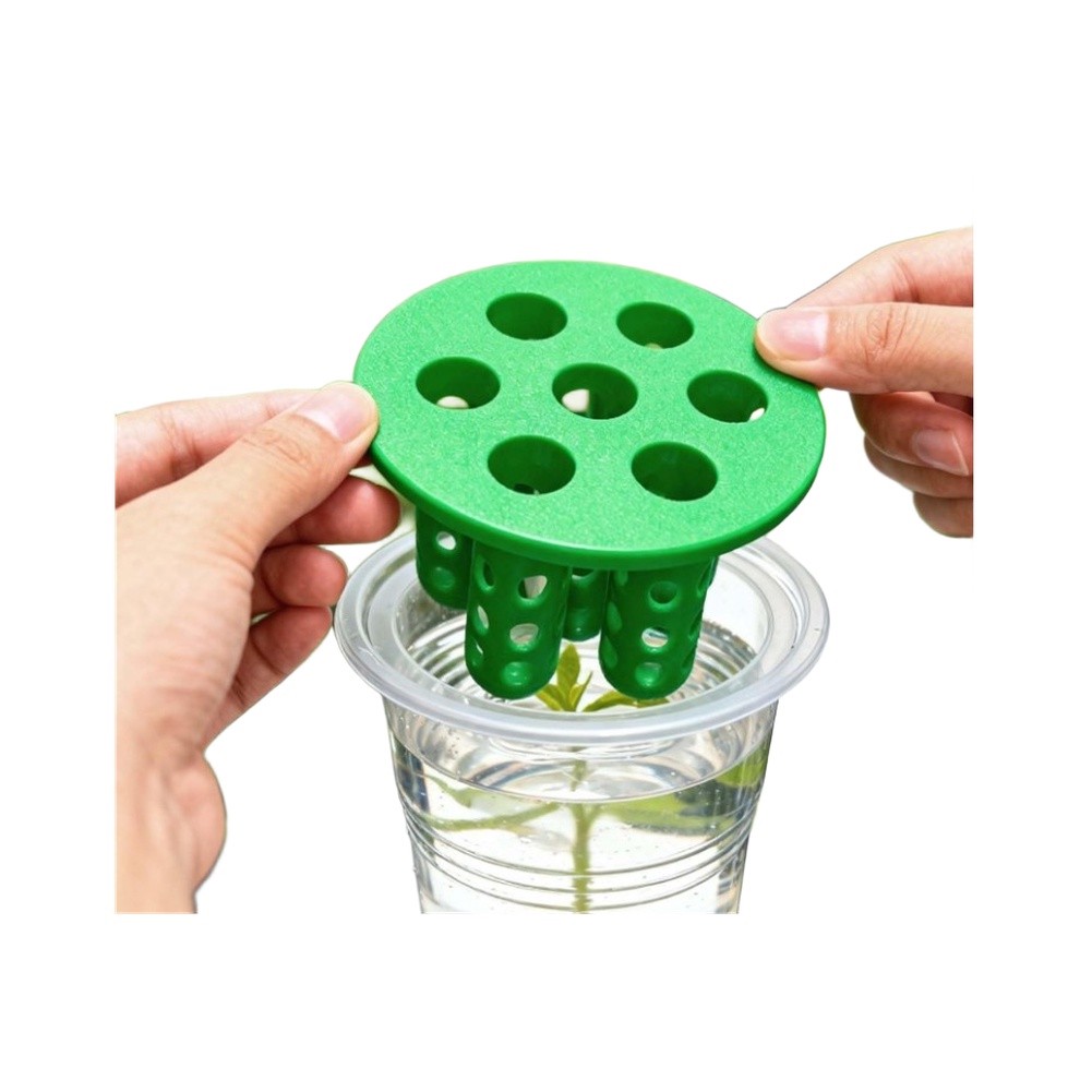 Hydroponic Kit - 4개입 파 재배 키트: 창가용 파