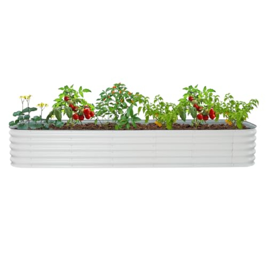 Raised Garden Bed - 채소, 꽃, 허브를 재배할 수 있는