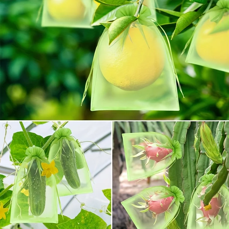 지퍼가 달린 100개 녹색 보호 가방, 과일 나무, 식 - Grow Bag 리뷰 및 가격