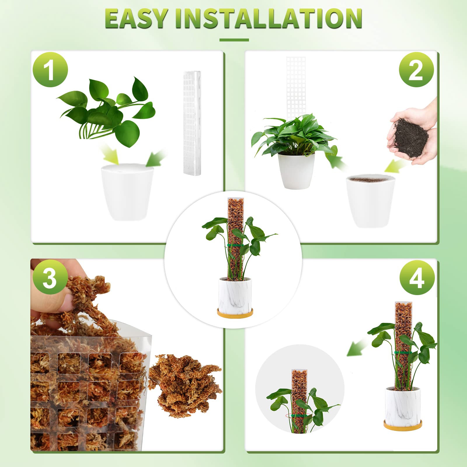 이끼 기둥 식물 식물 지원 플라스틱 투명 재사용 가능한 - Indoor Herb Garden 리뷰 및 가격