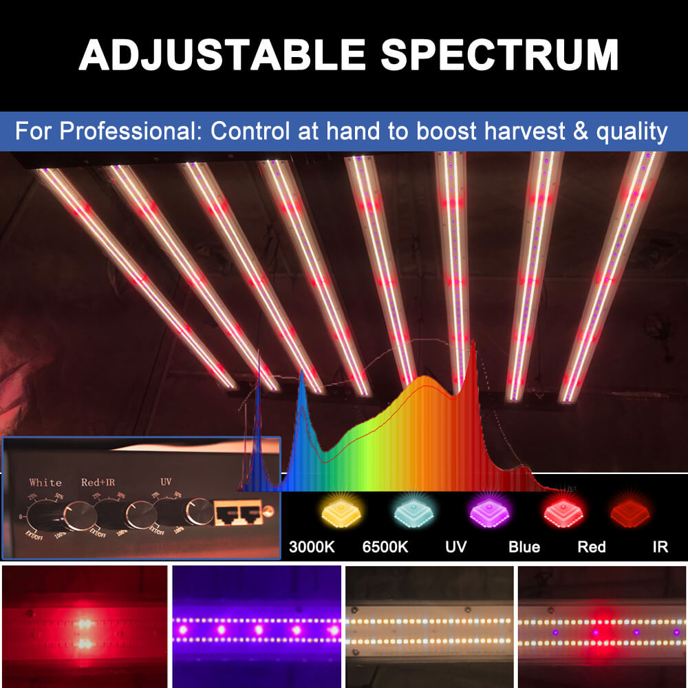 미국산 PPFD 2800 Umol/S LED 식물등 1 - Grow Light Led 리뷰 및 가격