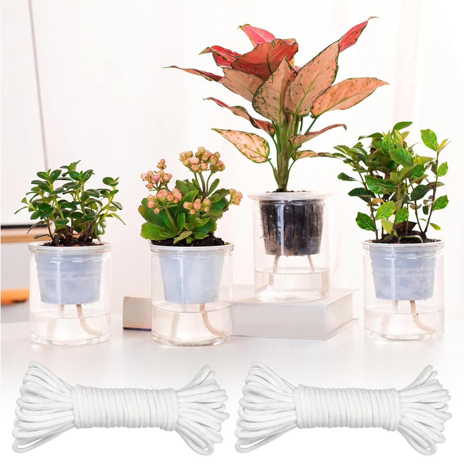 자가 급수용 식물 심지 2피스 자동 급수 로프 화분 모 - Self Watering Planter 리뷰 및 가격