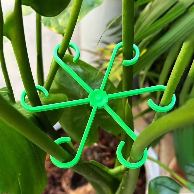 꽃 식물 줄기 지원 스테이크 등반 관엽 식물 스탠드 프 - Indoor Herb Garden 리뷰 및 가격