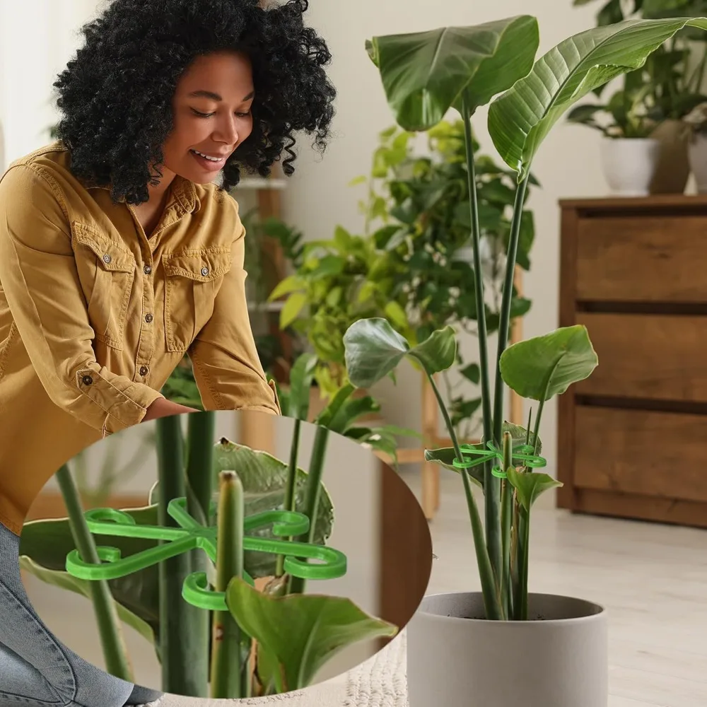 꽃 식물 줄기 지원 스테이크 등반 관엽 식물 스탠드 프 - Indoor Herb Garden 리뷰 및 가격