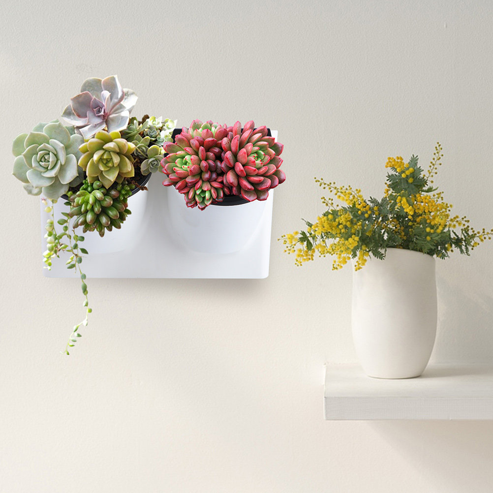 자가 급수 화분 플라스틱 바이올렛 화분 장식용 실내외  - Self Watering Planter 리뷰 및 가격