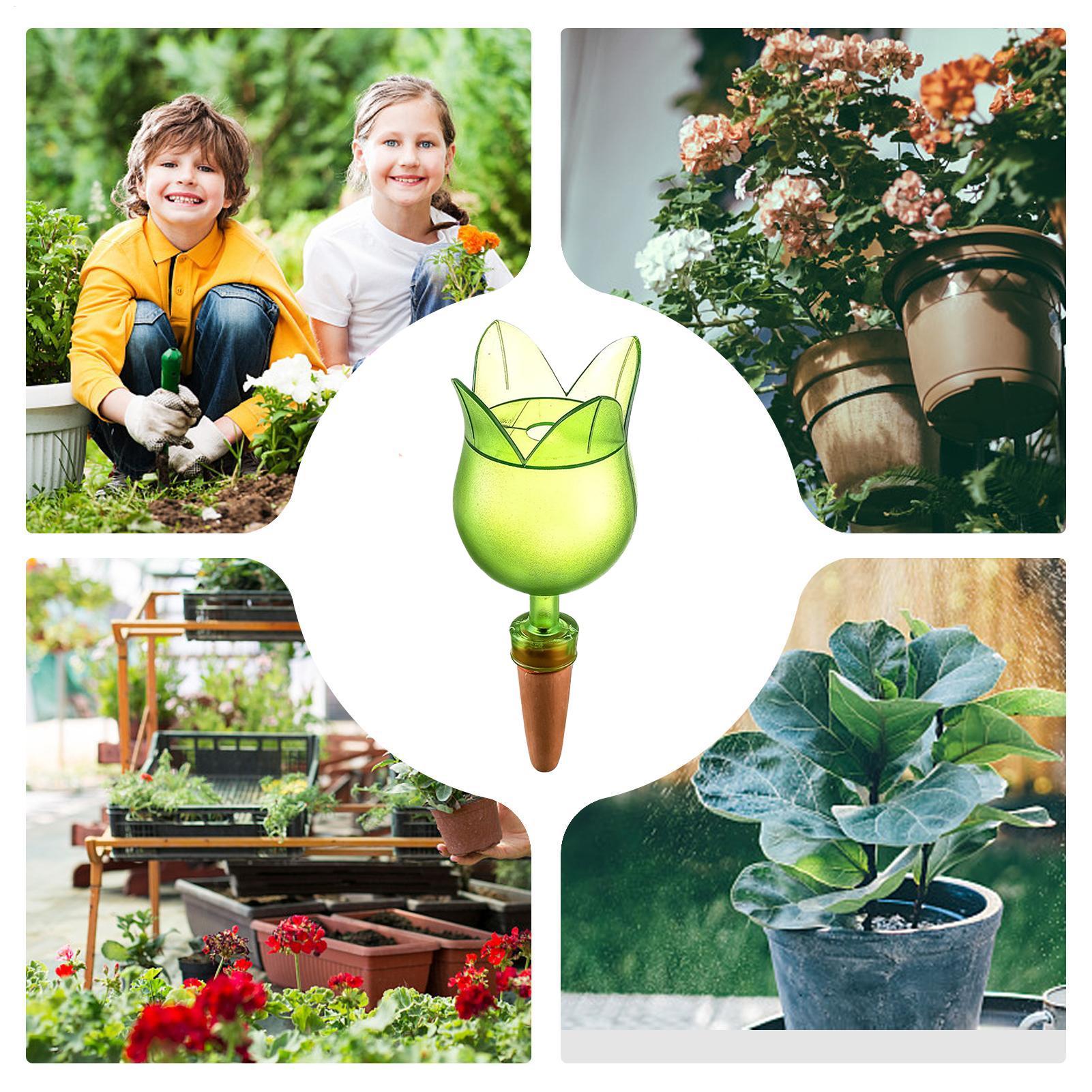 식물 자동 급수 장치, 식물 물방울 관개 제어 시스템, - Self Watering Planter 리뷰 및 가격