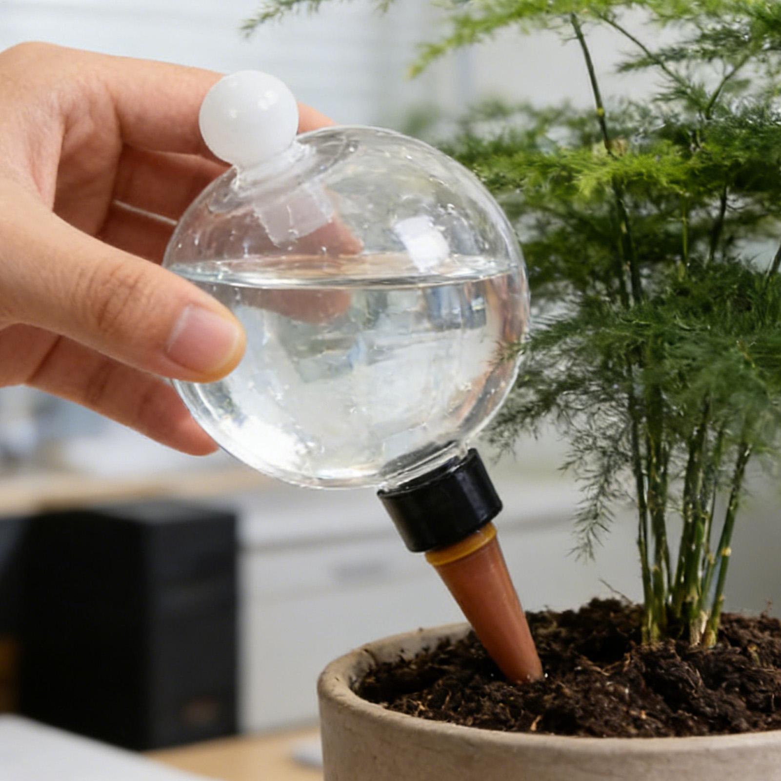 식물 급수용 전구 4개 500ml 투명 자동 급수 글로 - Self Watering Planter 리뷰 및 가격
