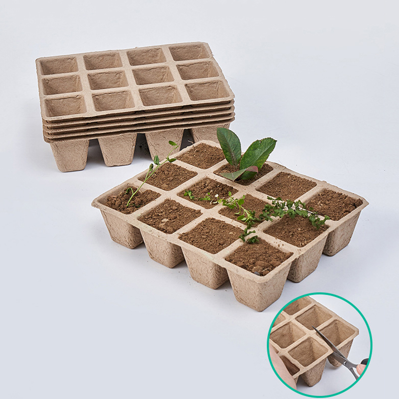 5Pcs 12 홀 식물 보육 트레이 펄프 생분해 성 원 - Seed Starter Tray 리뷰 및 가격