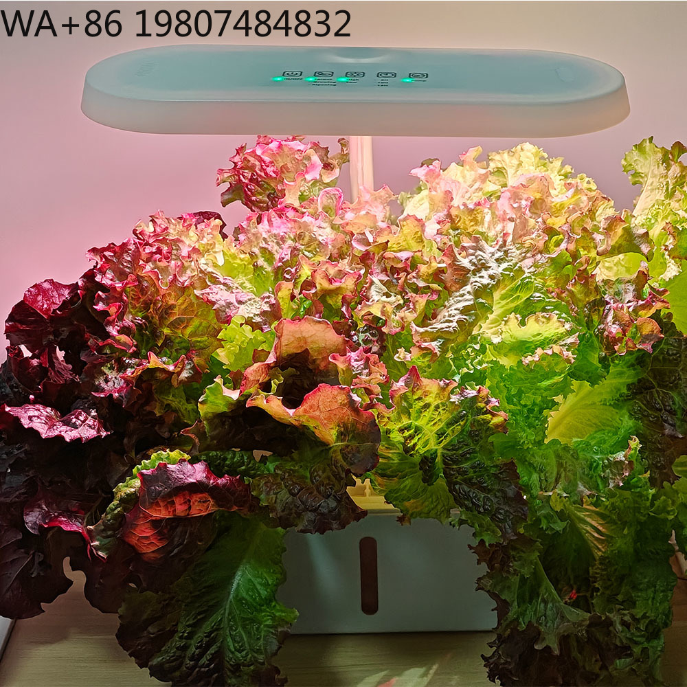 8홀 무소음 순환식 무토양 재배 장치 지능형 타이밍 풀 - Hydroponic Kit 리뷰 및 가격