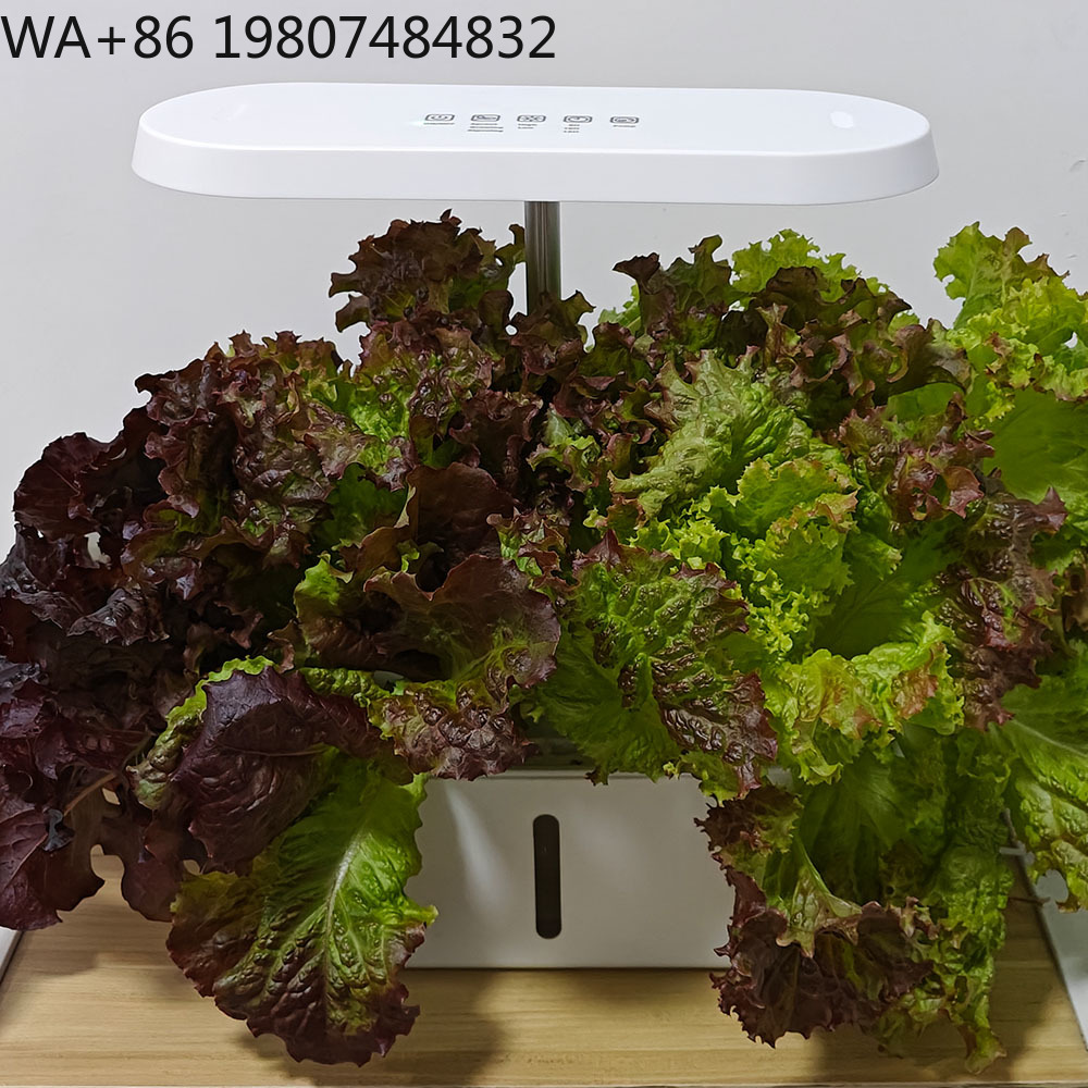 8홀 무소음 순환식 무토양 재배 장치 지능형 타이밍 풀 - Hydroponic Kit 리뷰 및 가격
