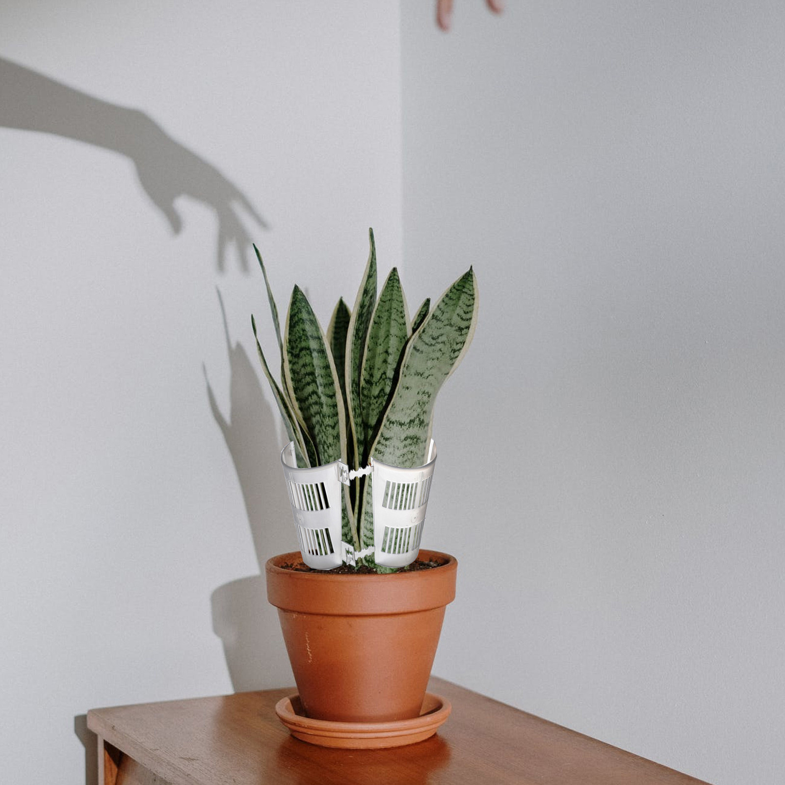 10개입, 뿌리 제어 기능이 있는 투명한 화분, 난초  - Plant Pot 리뷰 및 가격