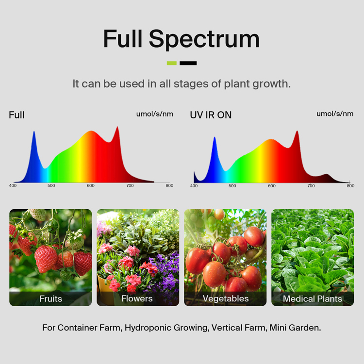 최대 3.75파운드 수확량을 제공하는 미국산 Flexs - Grow Light Led 리뷰 및 가격