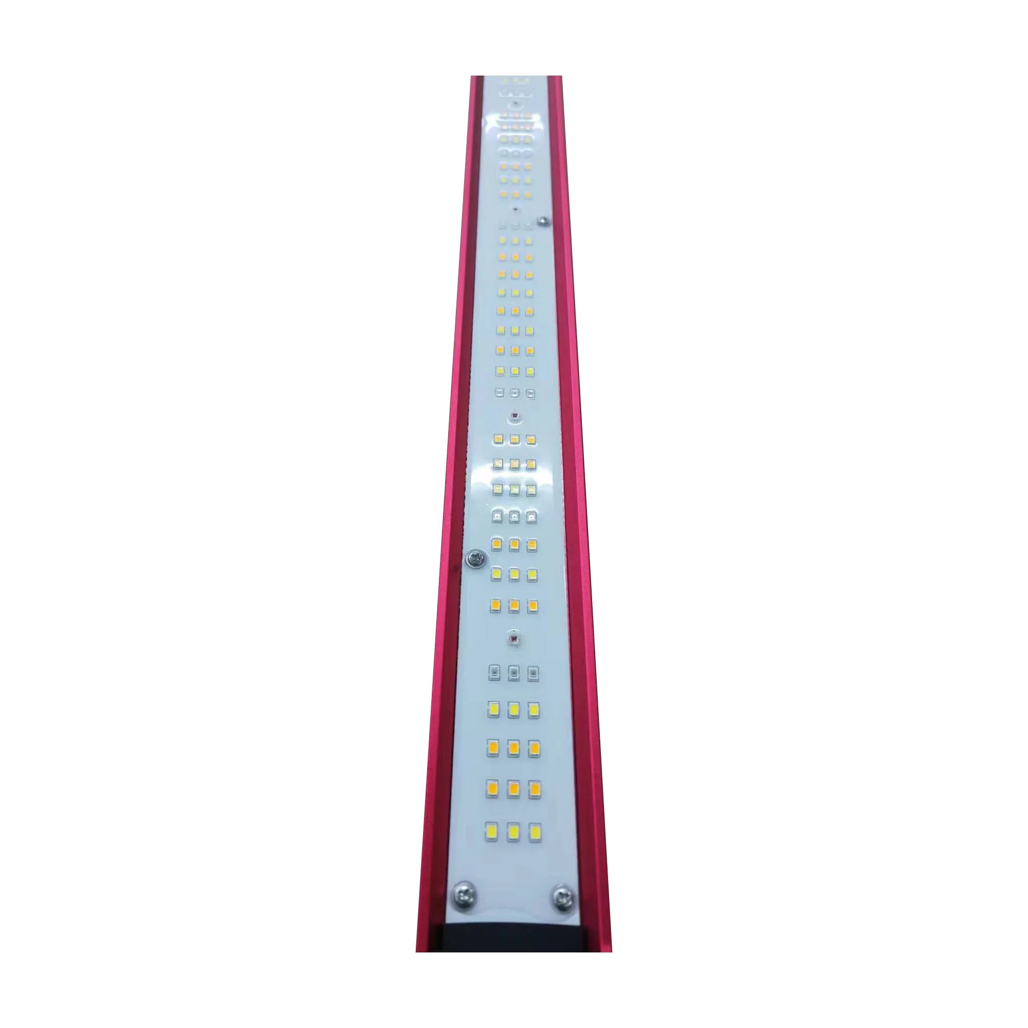 450w 600w 800w 1000와트 실내 식물용 I - Grow Light Led 리뷰 및 가격