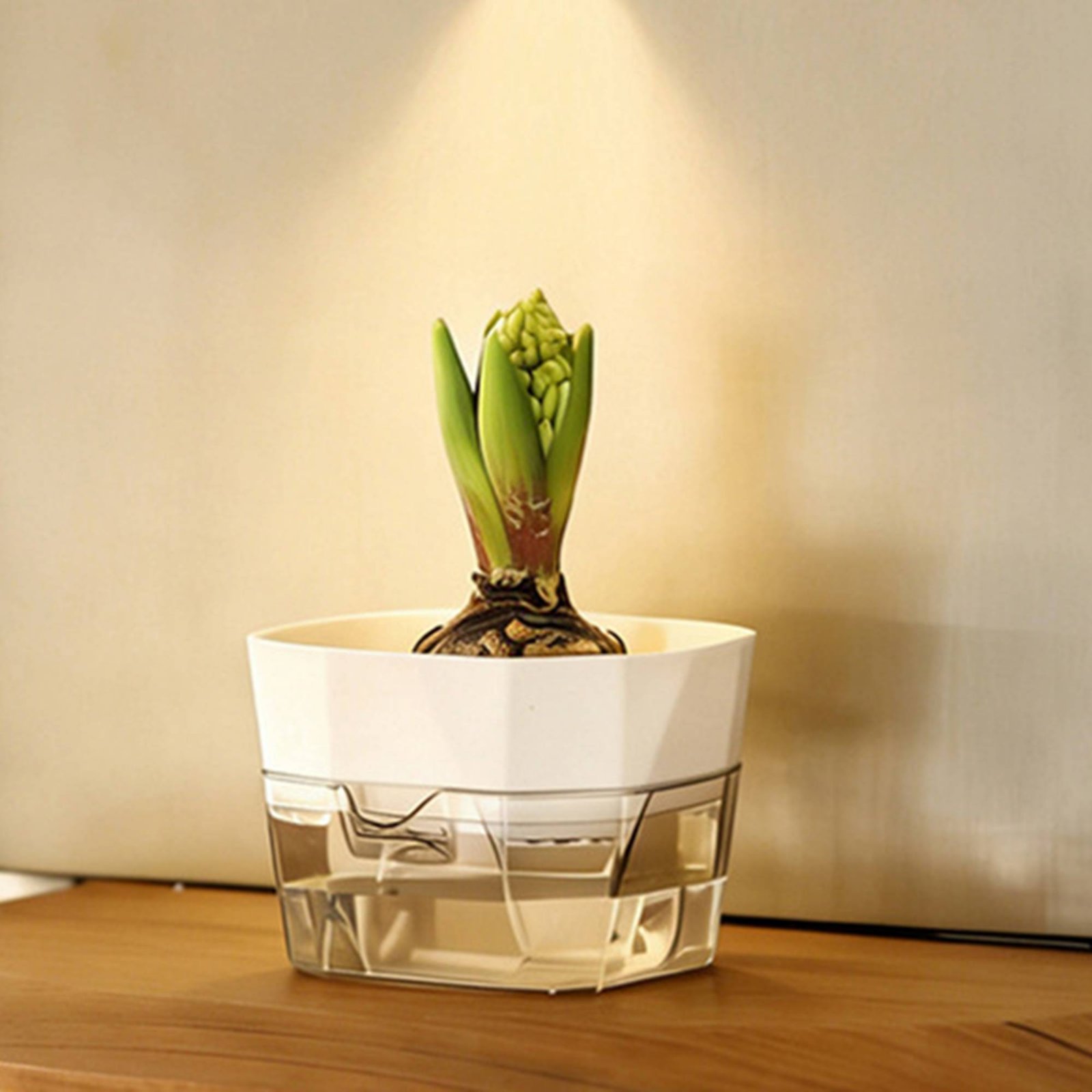 수경 재배용 전구 화분 2단 디자인 전구형 자동 급수  - Plant Pot 리뷰 및 가격