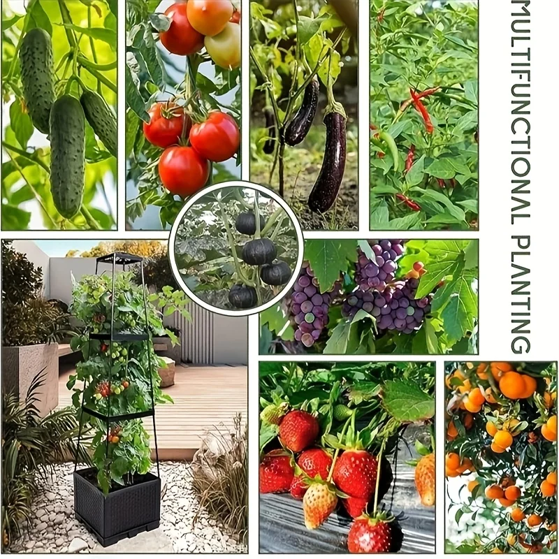 자동 급수 심기 상자와 트렐리스가 있는 토마토 타워 - - Indoor Herb Garden 리뷰 및 가격
