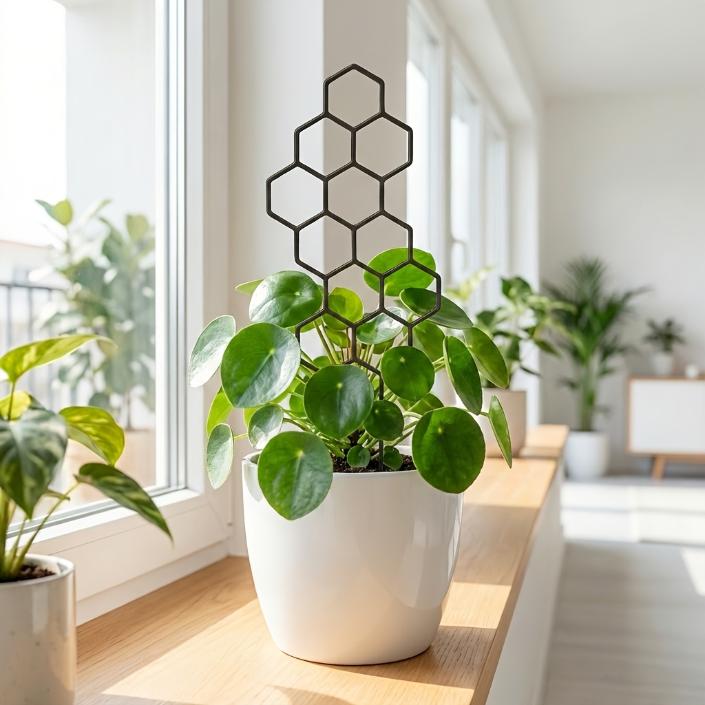 1/2팩 실내 식물용 트렐리스, 정원용 트렐리스, 정원 - Indoor Herb Garden 리뷰 및 가격