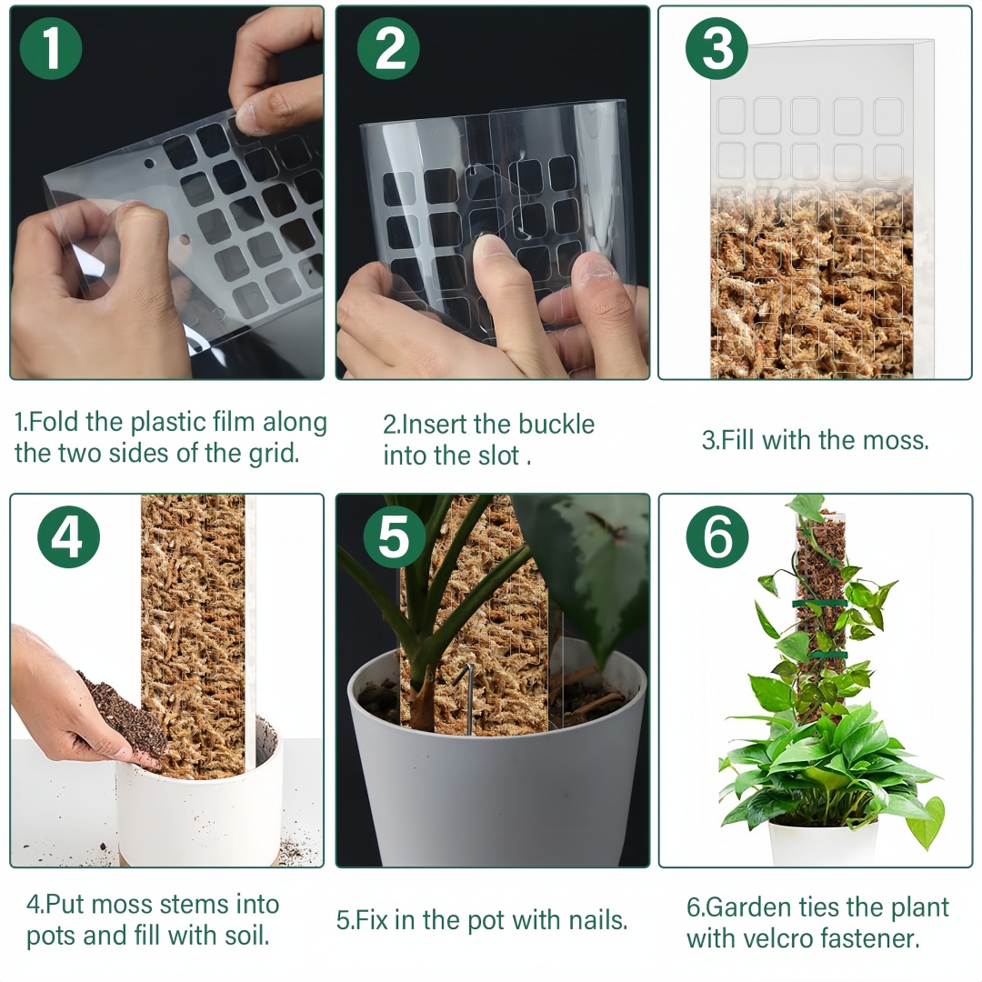 이끼 극 플라스틱 식물 스탠드 실내 등산 식물 가디언  - Indoor Herb Garden 리뷰 및 가격