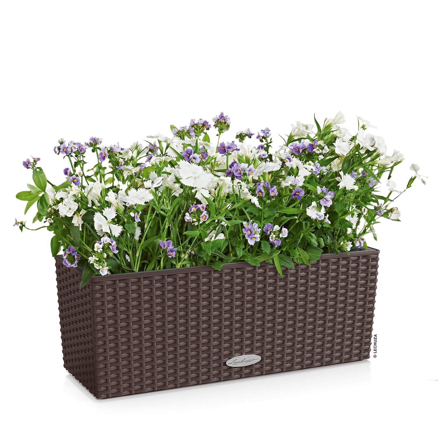 발코네라 코티지 50 모카, 자동 급수 기능이 있는 창 - Self Watering Planter 리뷰 및 가격