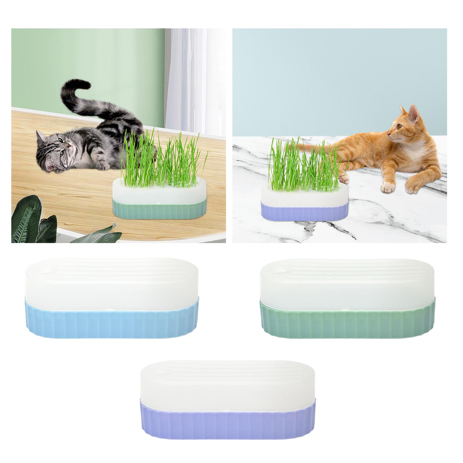 고양이 잔디 재배 키트용 배수 구멍이 있는 씨앗 발아  - Hydroponic Kit 리뷰 및 가격