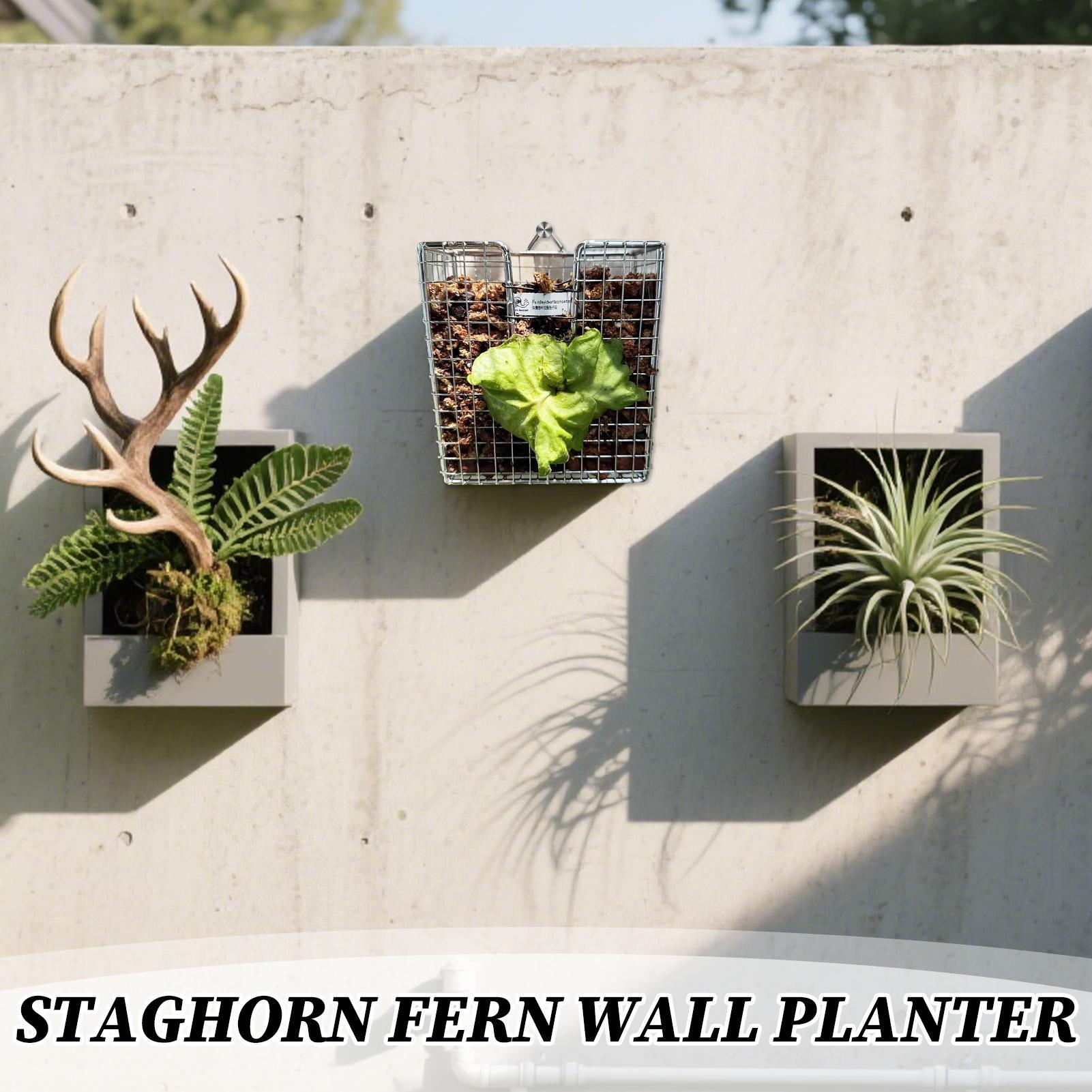 스테이그혼 고사리 장착 키트 스테인리스 스틸 벽걸이 화 - Vertical Planter 리뷰 및 가격