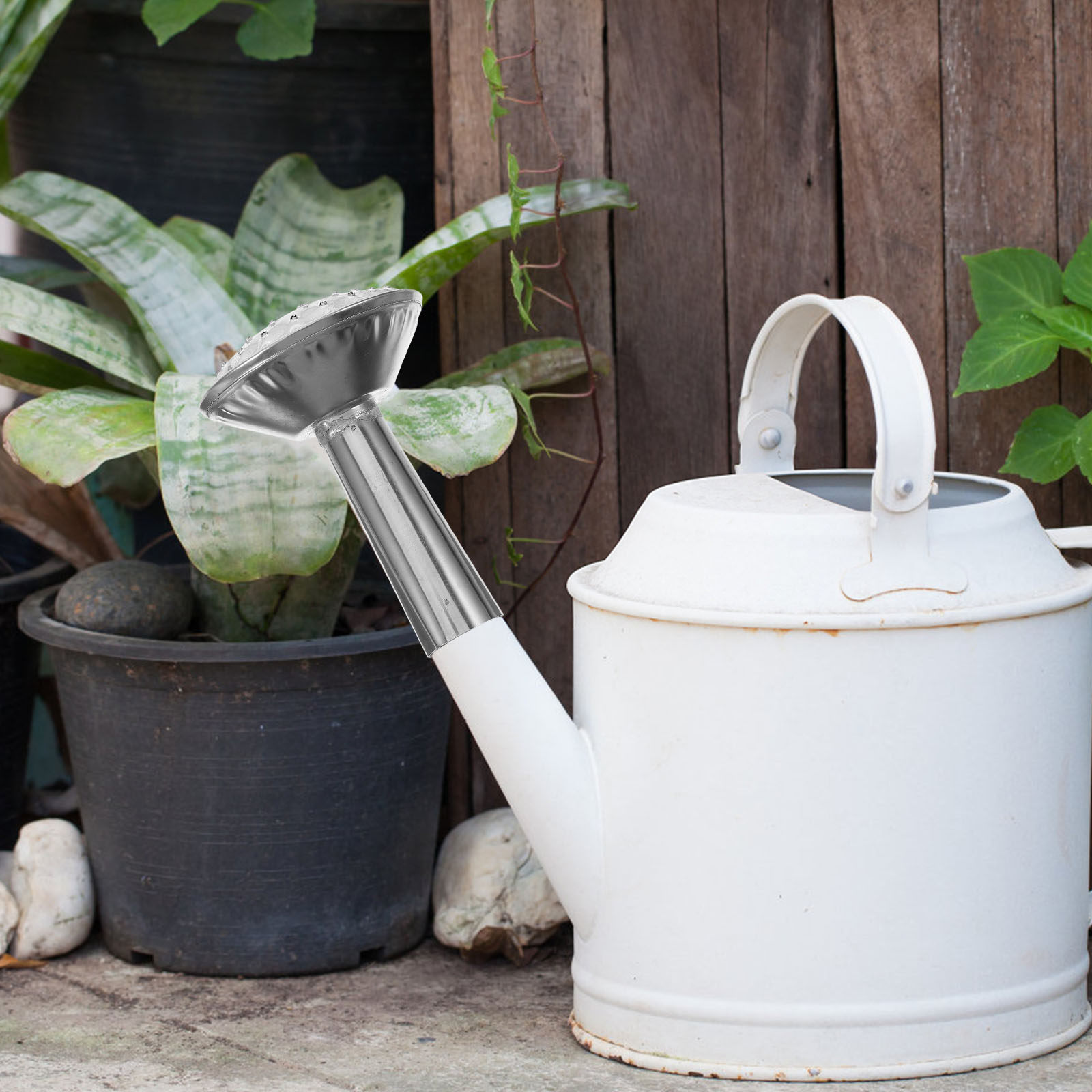 스테인리스 스틸 재질의 물뿌리개 헤드, 내구성이 뛰어나 - Watering Can 리뷰 및 가격