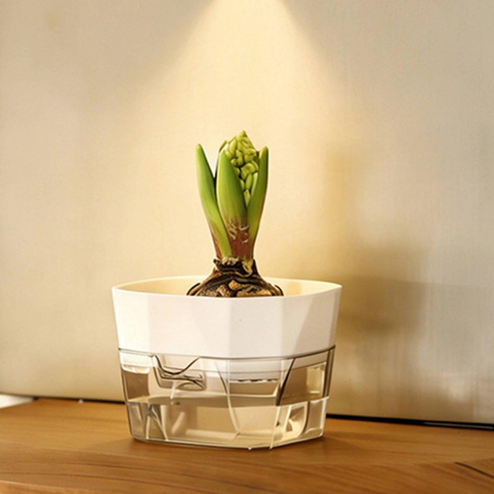 수경재배 화병 2단 자동 급수 화분 투명 PET 재질  - Plant Pot 리뷰 및 가격