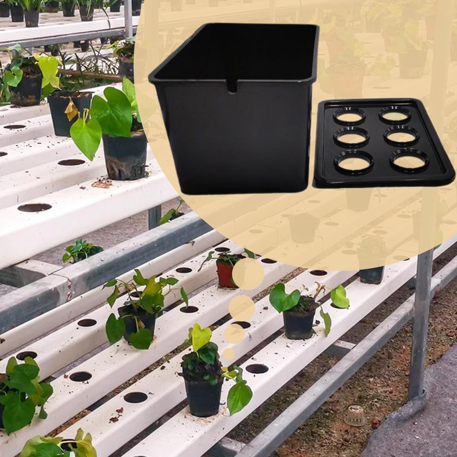 수경재배 키트 초보자용 장비 가정용 수경재배 묘목 시스 - Hydroponic Kit 리뷰 및 가격