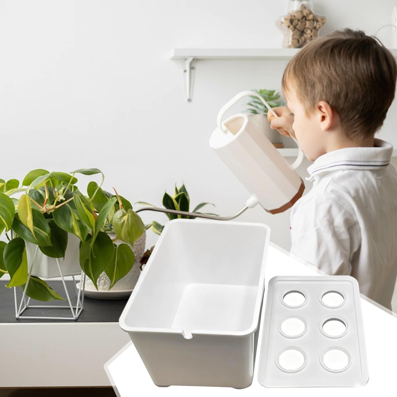 수경재배 키트 초보자용 장비 가정용 수경재배 묘목 시스 - Hydroponic Kit 리뷰 및 가격