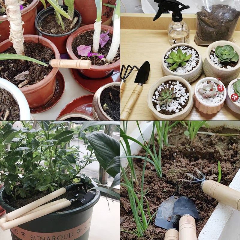3PC/1세트 미니 원예 도구 세트 휴대용 소형 원예  - Indoor Herb Garden 리뷰 및 가격