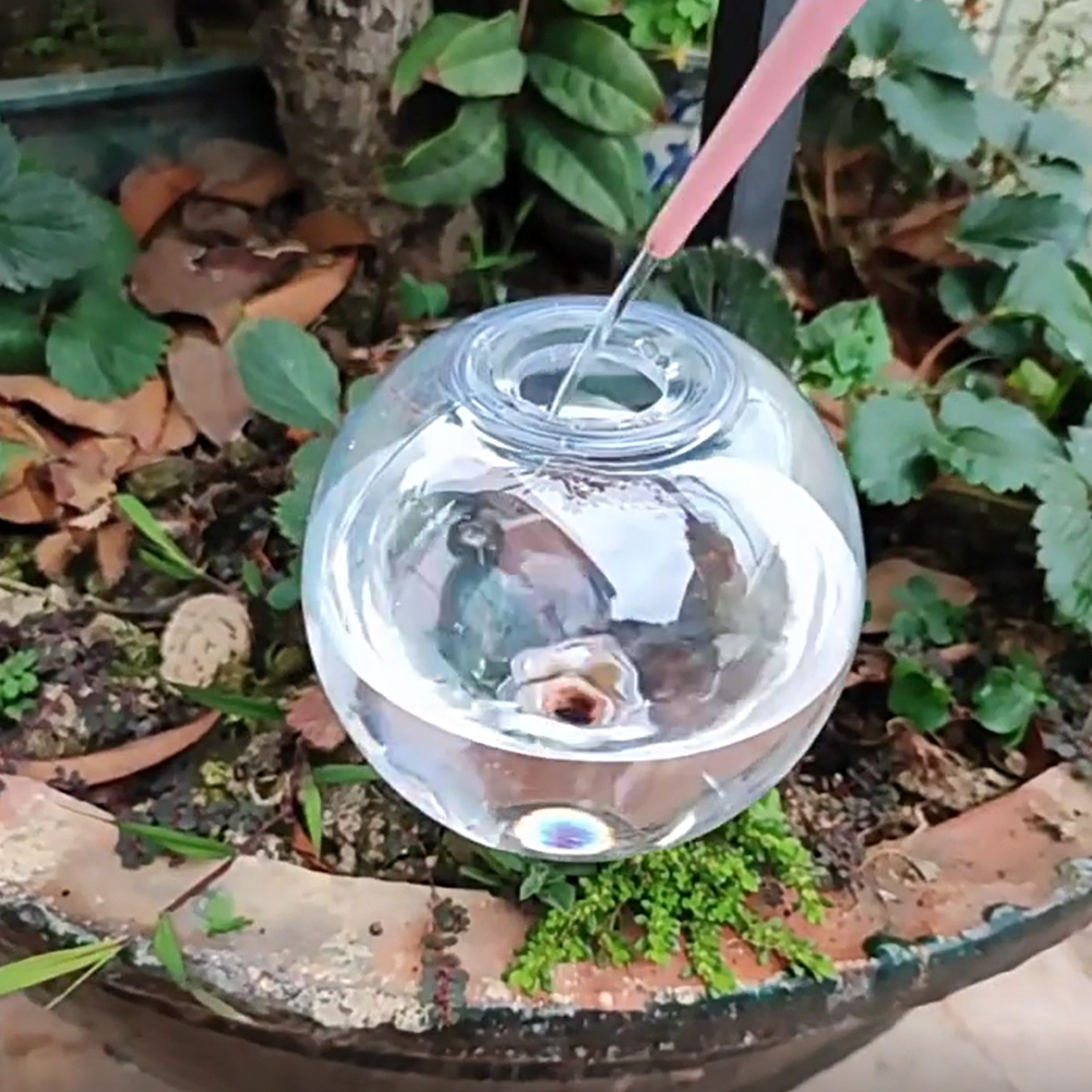 500ML 자동 급수 글로브 점적 관개 시스템 자동 급 - Self Watering Planter 리뷰 및 가격
