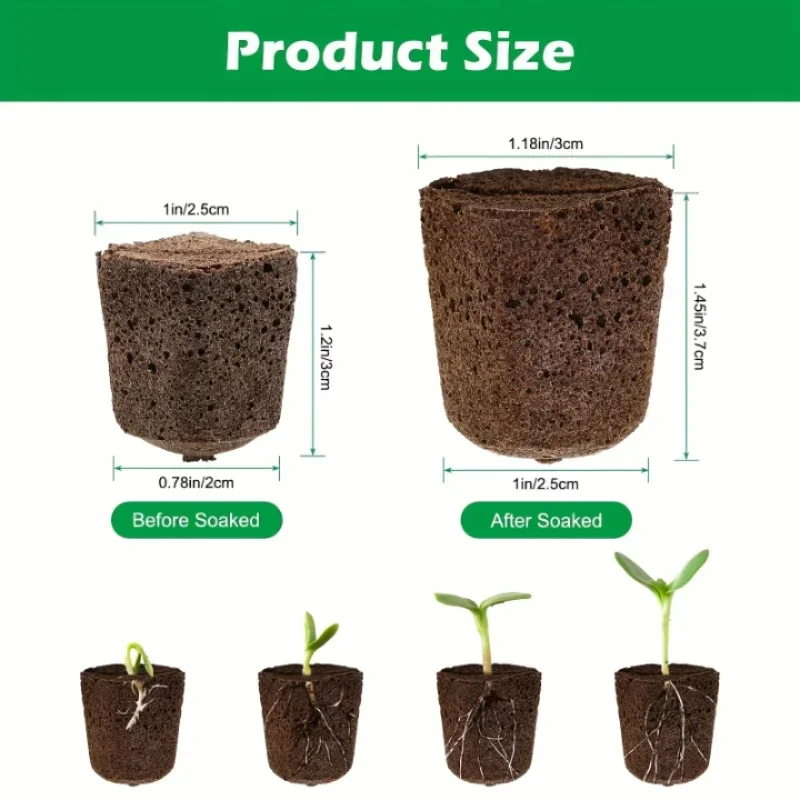 수경 실내 정원 시스템용 묘목 스타터 스펀지 키트, 성 - Hydroponic Kit 리뷰 및 가격