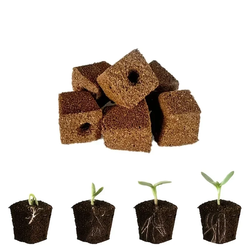 수경 실내 정원 시스템용 묘목 스타터 스펀지 키트, 성 - Hydroponic Kit 리뷰 및 가격