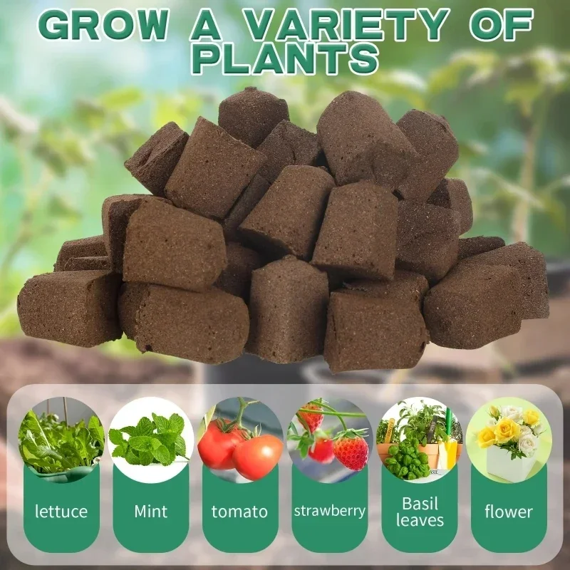 수경 실내 정원 시스템용 묘목 스타터 스펀지 키트, 성 - Hydroponic Kit 리뷰 및 가격