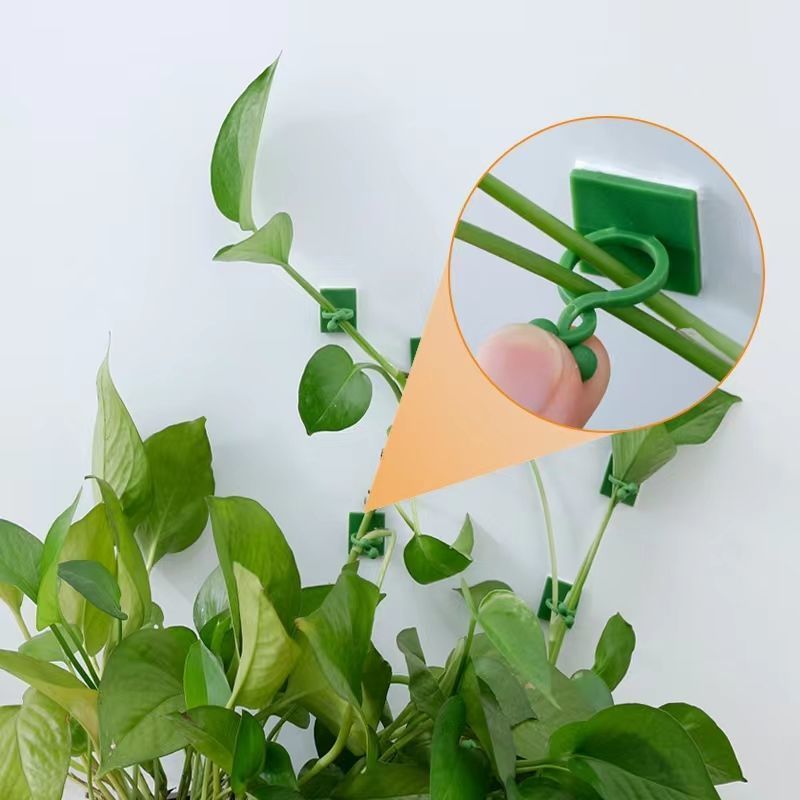 자가 접착식 식물 등반용 벽 고정 클립 덩굴 등나무 고 - Indoor Herb Garden 리뷰 및 가격