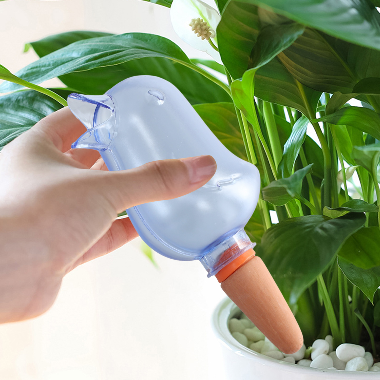 자동 식물 물방울 관개 시스템 식물을위한 새 모양 물방 - Self Watering Planter 리뷰 및 가격