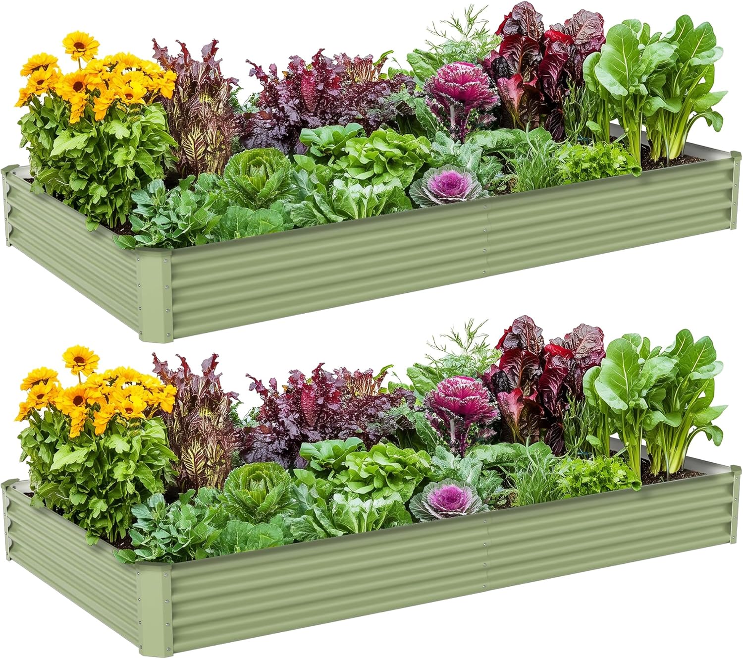 야외 채소 재배용 금속 재배상자, 아연 도금 강철, 8 - Raised Garden Bed 리뷰 및 가격