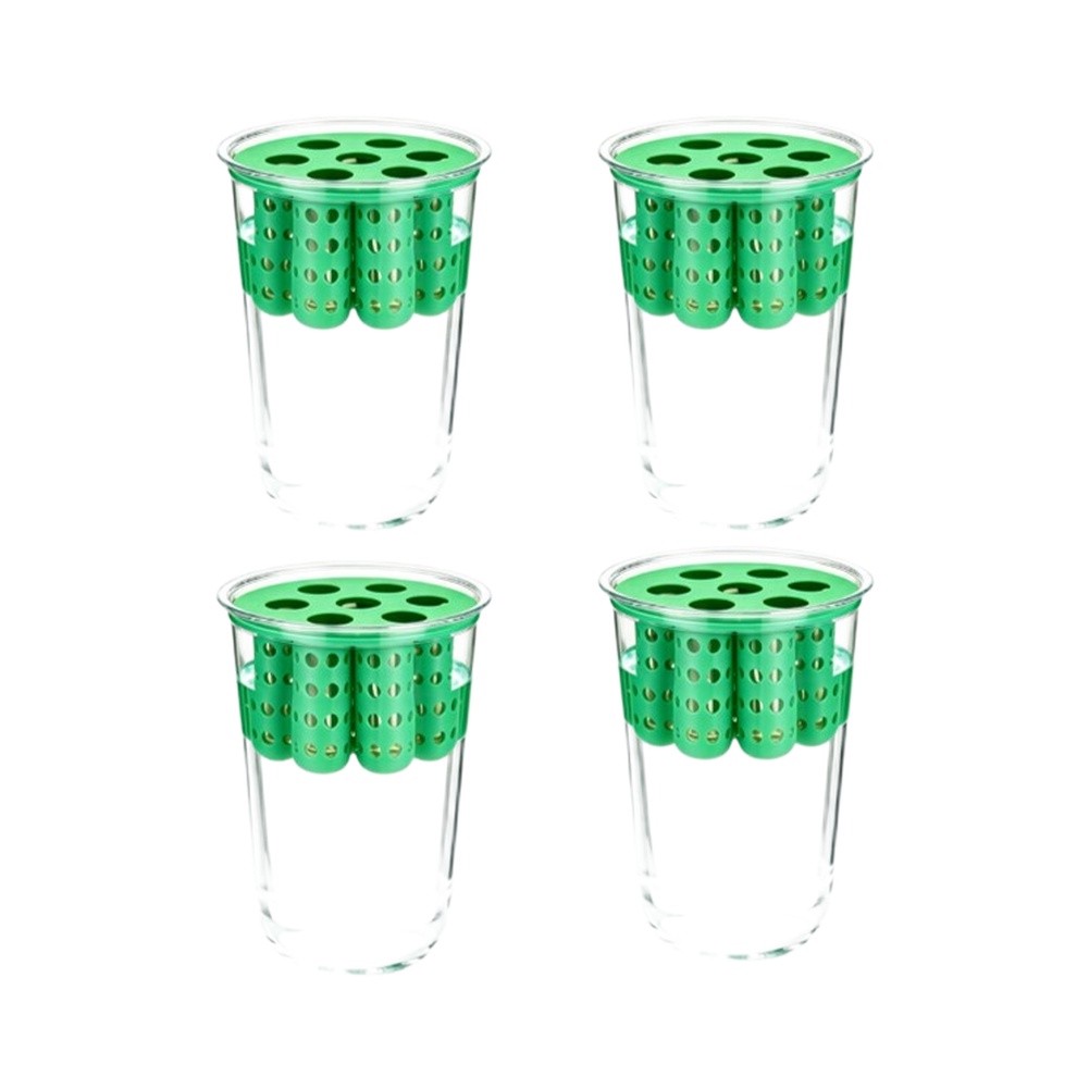4개입 파 재배 키트: 창가용 파 재배 용기/재사용 가 - Hydroponic Kit 리뷰 및 가격