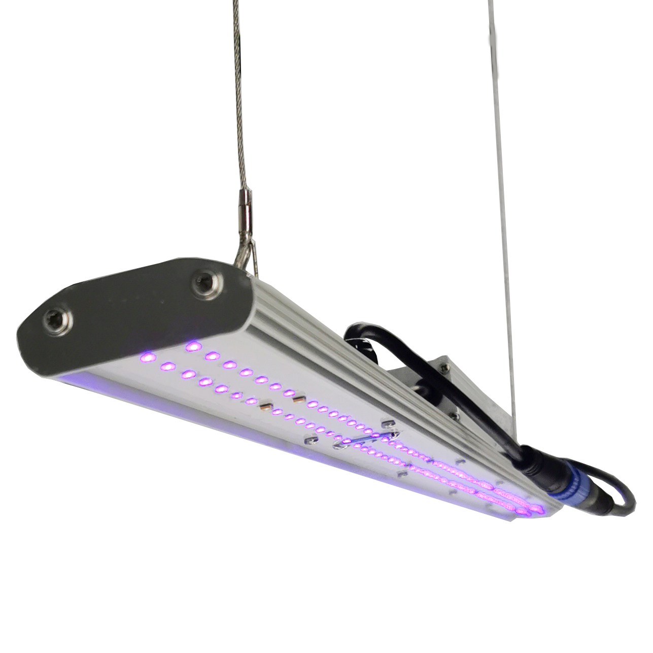 DANSE LED 수동 디머 LED 식물등 30W 2F - Grow Light Led 리뷰 및 가격