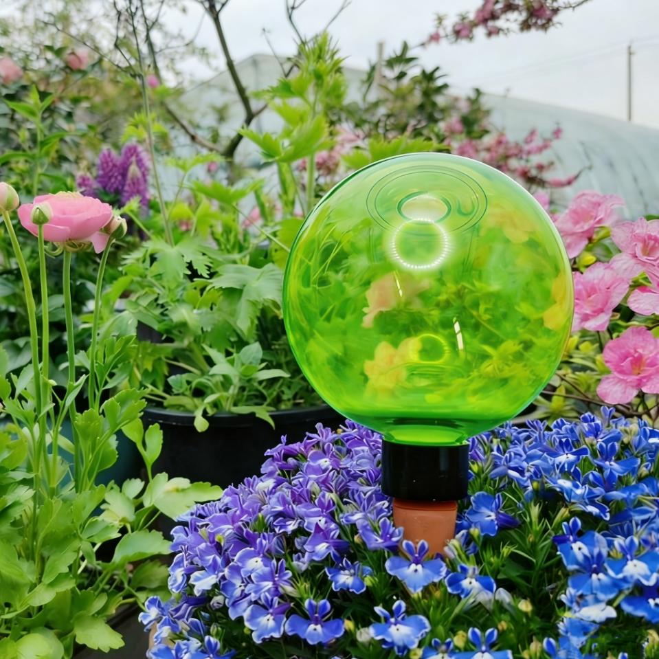 3개 대형 식물 자동 급수 글로브 플라스틱 물병 자동  - Self Watering Planter 리뷰 및 가격