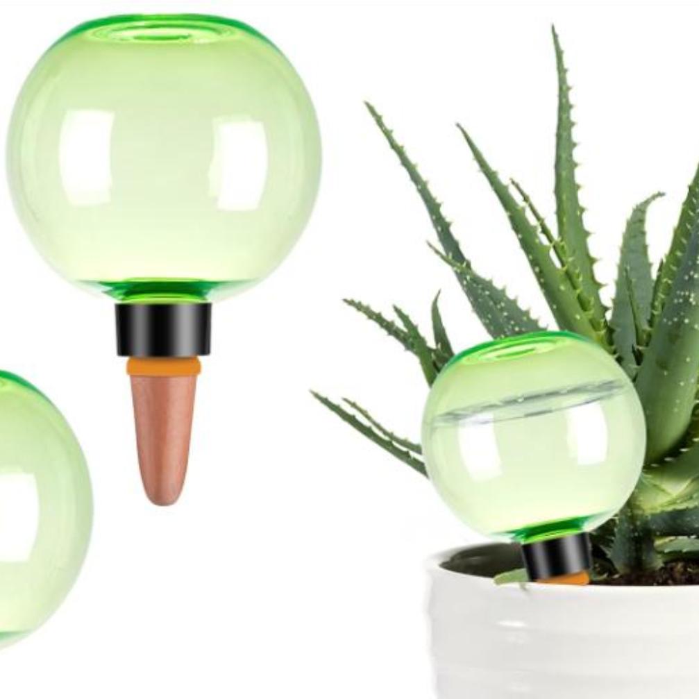 3개 대형 식물 자동 급수 글로브 플라스틱 물병 자동  - Self Watering Planter 리뷰 및 가격