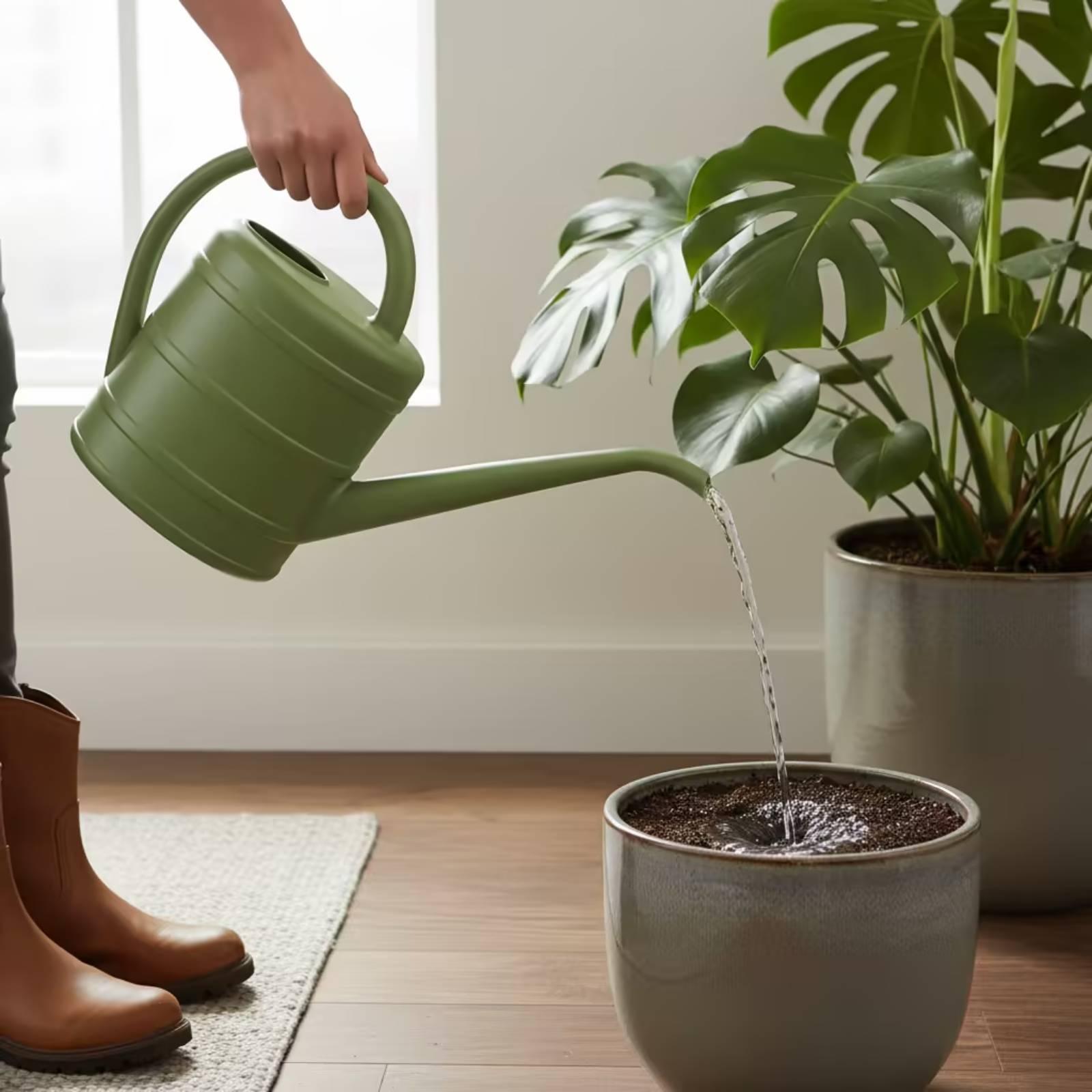 긴 주둥이가 있는 물뿌리개, 청소가 쉬운 정원 도구 ( - Watering Can 리뷰 및 가격