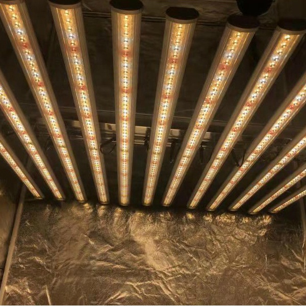 LUX 중국 공장 LED 식물 조명 12바 660w 1 - Grow Light Led 리뷰 및 가격