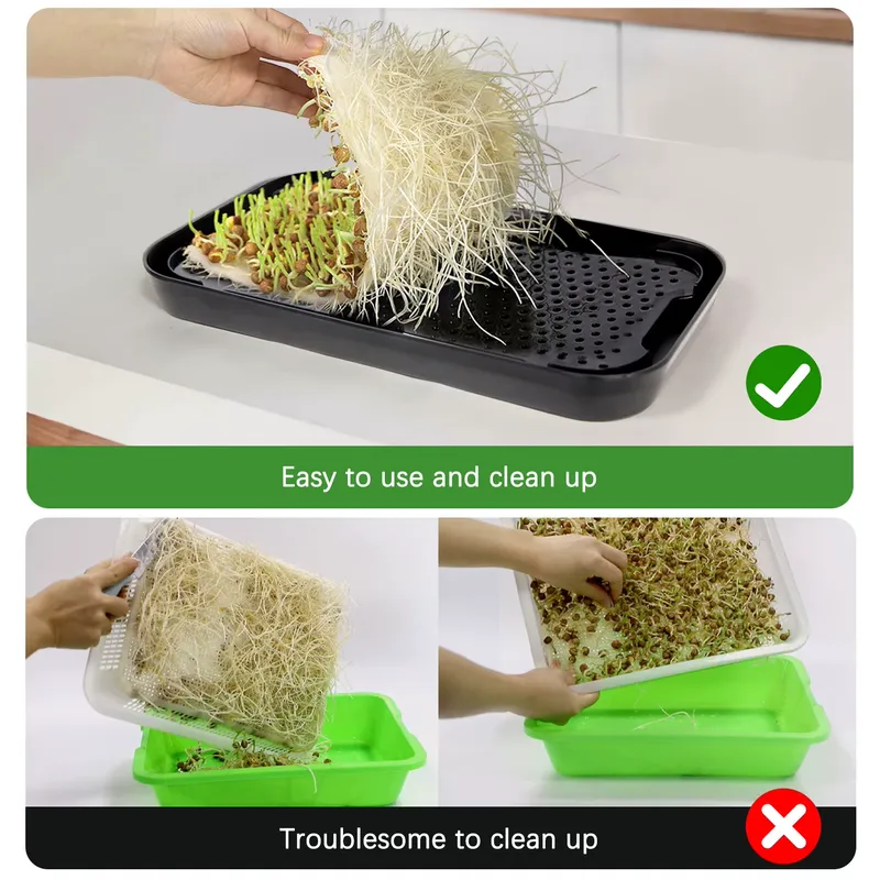수경재배 트레이 실내 마이크로그린 씨앗 새싹 재배 시스 - Hydroponic Kit 리뷰 및 가격