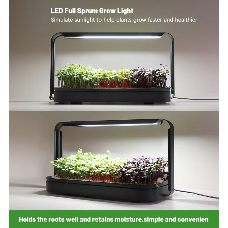 수경재배 트레이 실내 마이크로그린 씨앗 새싹 재배 시스 - Hydroponic Kit 리뷰 및 가격