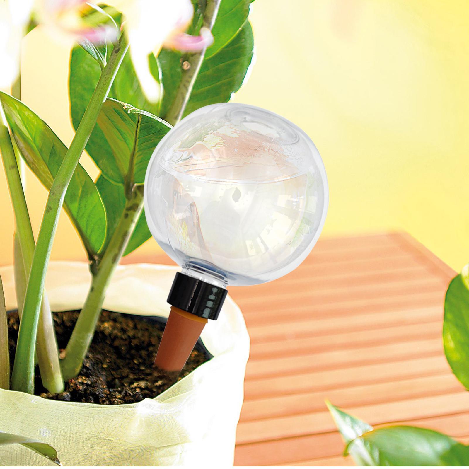 500ml 자동 식물 급수 구슬 유리 글로브 플랜터 삽 - Self Watering Planter 리뷰 및 가격