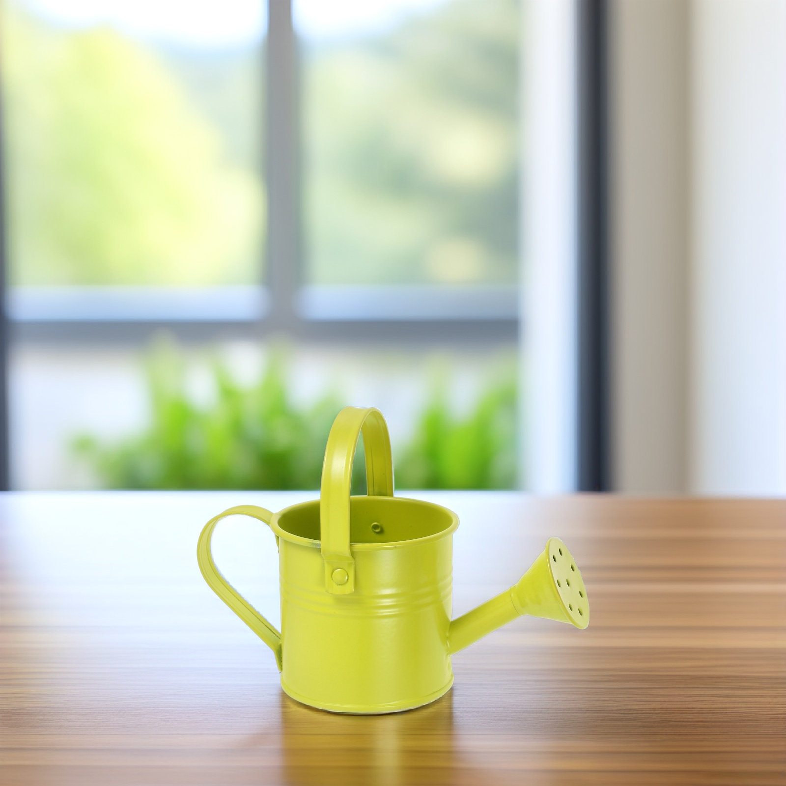 작은 크기의 아연 도금 물뿌리개, 실내 다육 식물, 책 - Watering Can 리뷰 및 가격