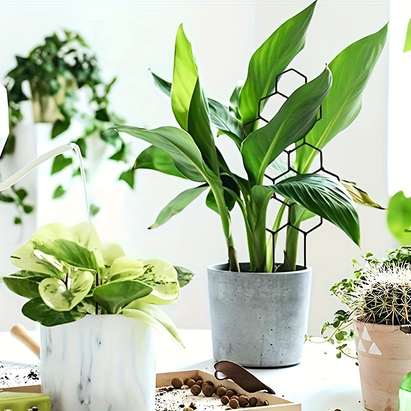 1PC 벌집형 디자인 식물 지지대, 화분에 심은 덩굴식 - Indoor Herb Garden 리뷰 및 가격