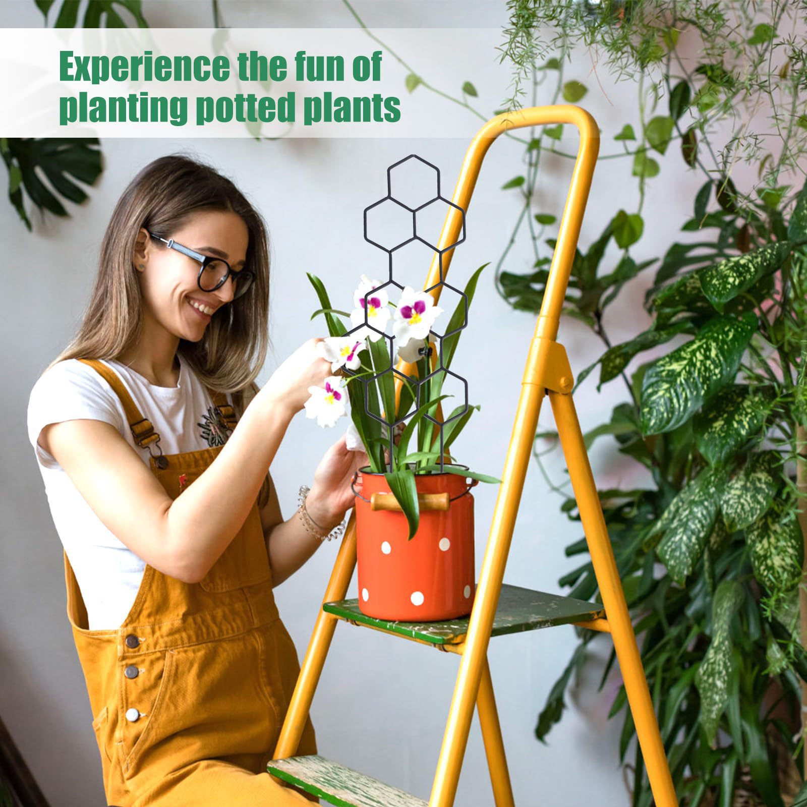 1PC 벌집형 디자인 식물 지지대, 화분에 심은 덩굴식 - Indoor Herb Garden 리뷰 및 가격
